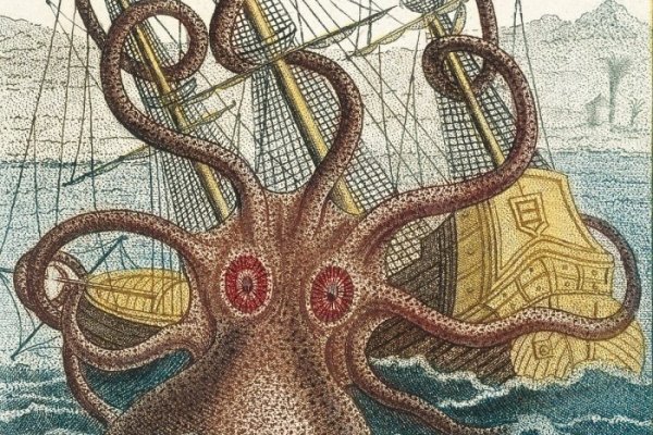 Как найти kraken