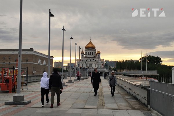 Почему не работает кракен