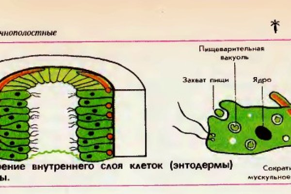 Ссылка на кракен тор магазин